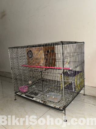 Cockatiel bird and cage